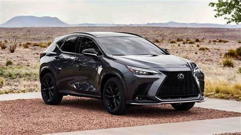 Precut Tint Film Kit For Lexus Nx 5 Doors SUV From 2022 2024 Precut tint film kit for Lexus Nx 5 Doors SUV from 2022-2024