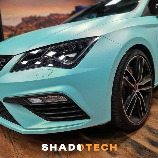 APA Satin Metal HAWAII MINT JP/989.41