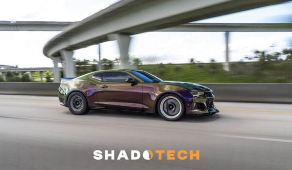 APA Gloss Gemstone GARNET BRONZE JP/979.4