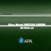 APA Gloss Metal BRITISH GREEN JP/R99.43