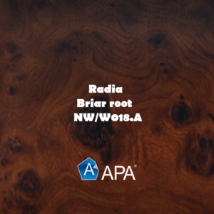 NW W018.A radia – briar root copie NW/W018.A radia - briar root