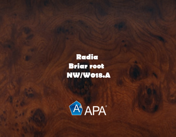 NW W018.A radia – briar root copie NW/W018.A radia - briar root