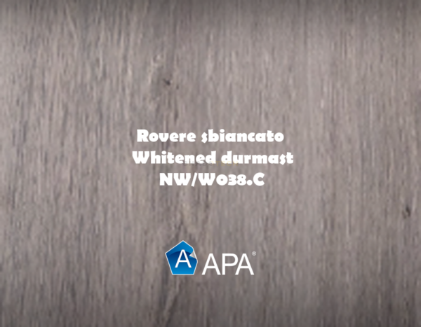NW/W038.C rovere sbiancato - whitened durmast