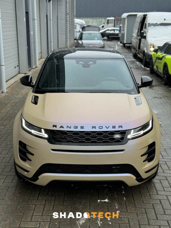 Satin Gemstone DESERT ROSE Satin Gemstone DESERT ROSE JP/978.2